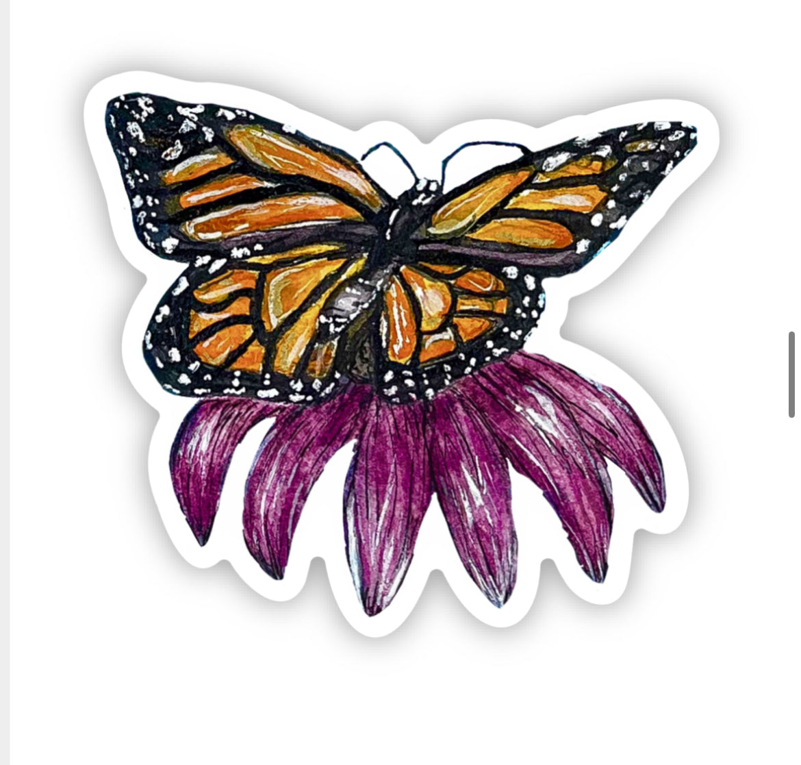 Echinacea and monarch vinyl sticker