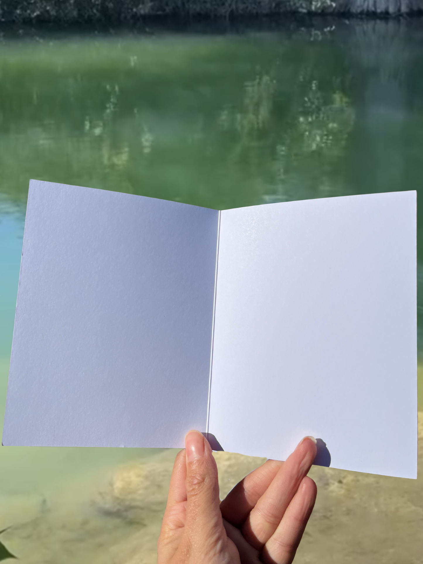 “A Nocturnal Night” greeting card with envelope