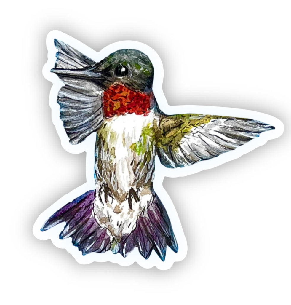 Mini ruby throated hummingbird sticker