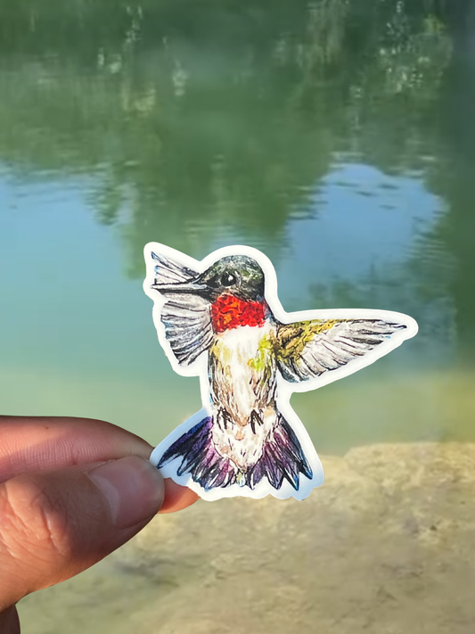 Mini ruby throated hummingbird sticker