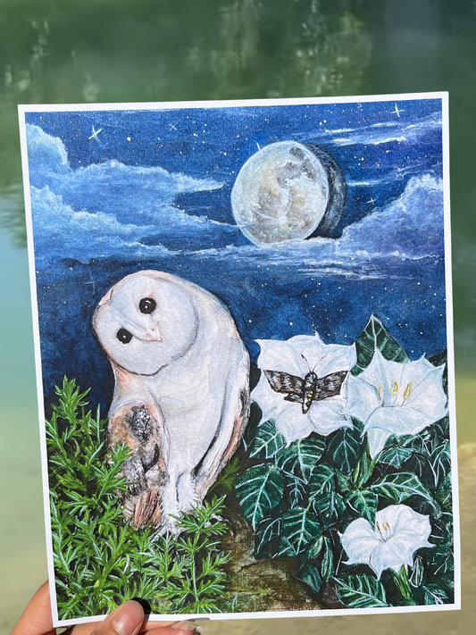 "A Nocturnal Night" gouache 8x10 print